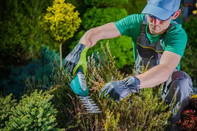 landscaping services Glenwood Landing